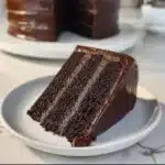 chocolate fudge cake 2026 02 12 162229 2