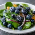 blueberry spinach salad with orange poppy seed dre 2026 04 25 011841 1